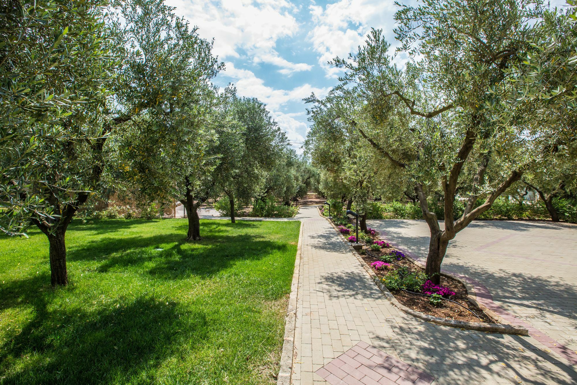 Dimora Tenuta Solentino Torre San Giovanni Ugento Eksteriør billede